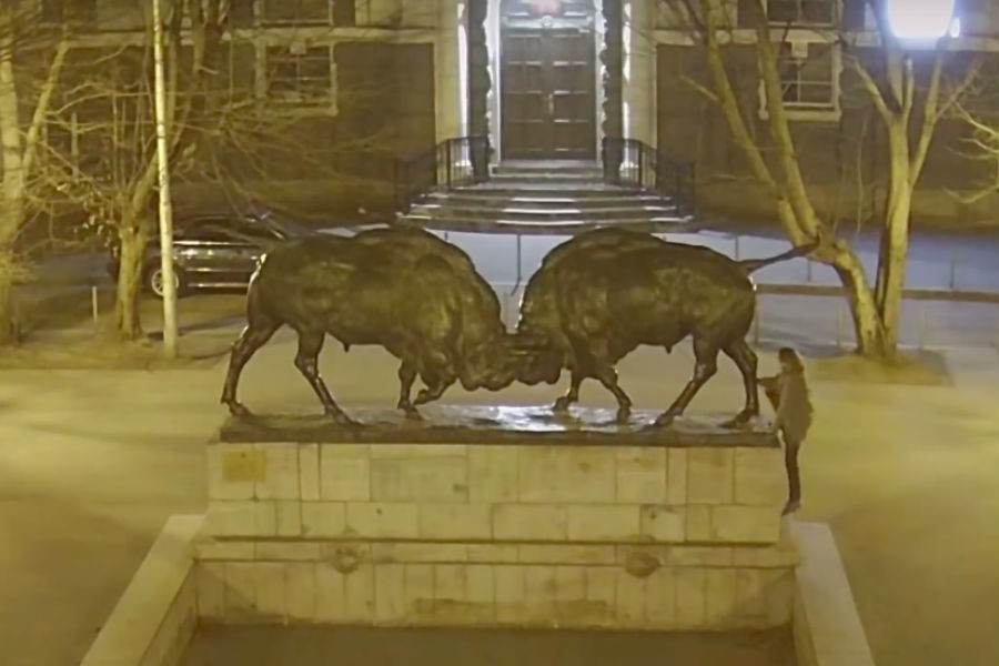 Задержали покрасившую «Борющихся зубров» калининградку (видео)