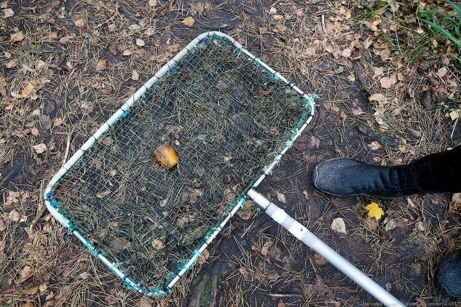 Под Янтарным задержали мужчин, добывающих янтарь в море (видео)