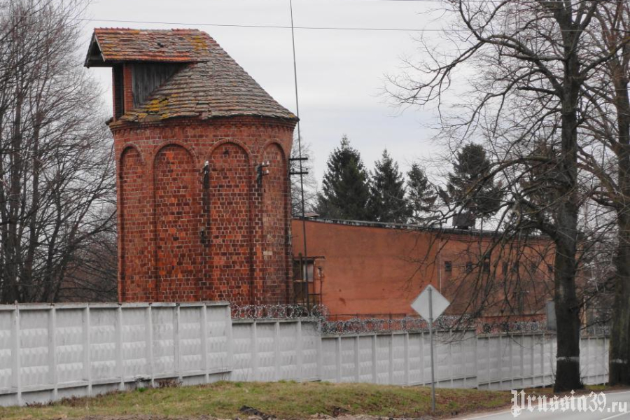 Жительница Приморска пожаловалась Беспрозванных на её умирающий город