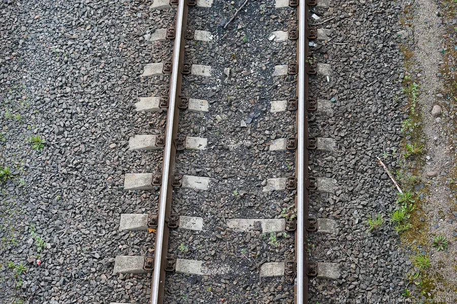 При обрушении моста на поезд в Брянской области погибли трое, десятки ранены