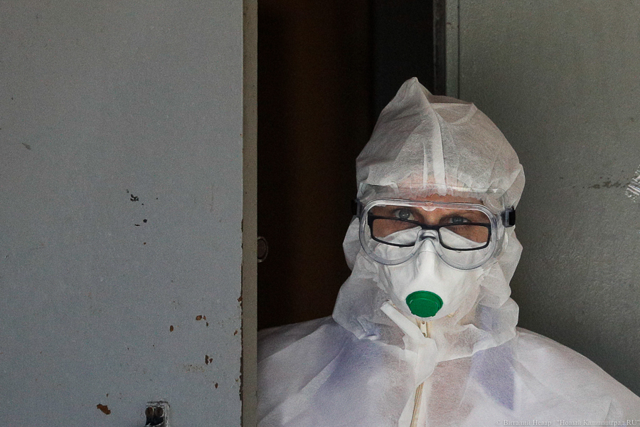 Роспотребнадзор опроверг информацию о «новом необычном вирусе»