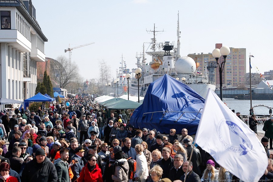 В Калининграде впервые за два года пандемии отметят День селёдки
