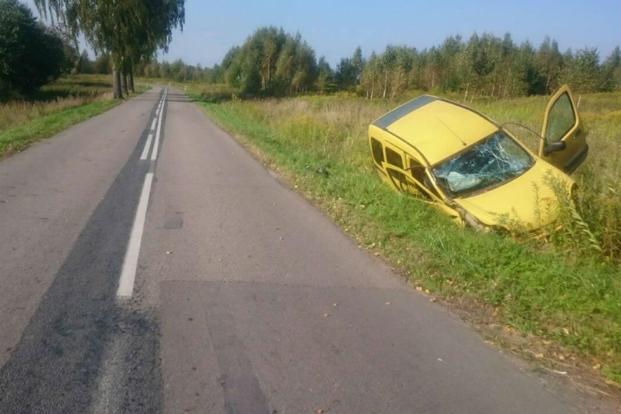 Под Багратионовском «Ниссан» врезался в дерево, пострадал грудной ребенок