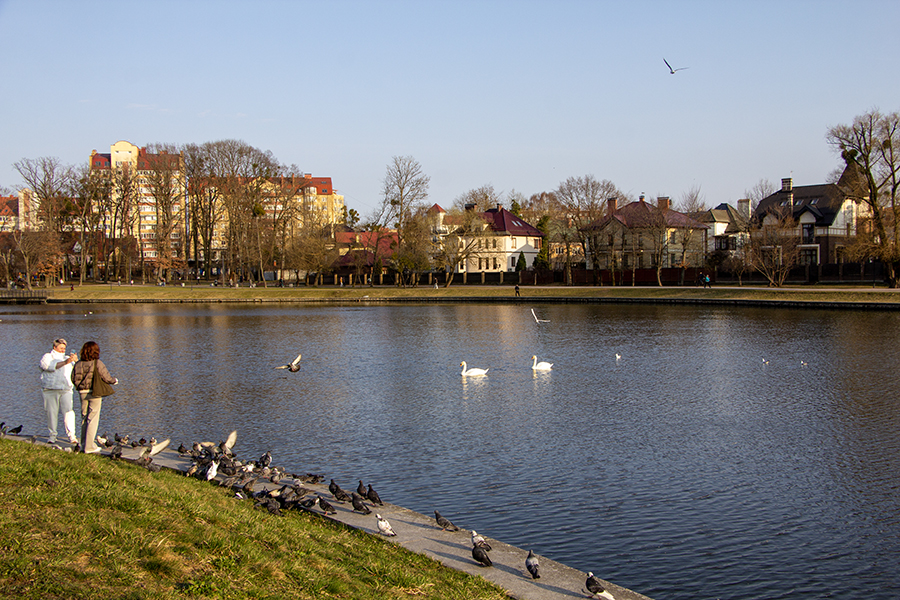 Малооблачно и без осадков: погода в Калининградской области 10 апреля