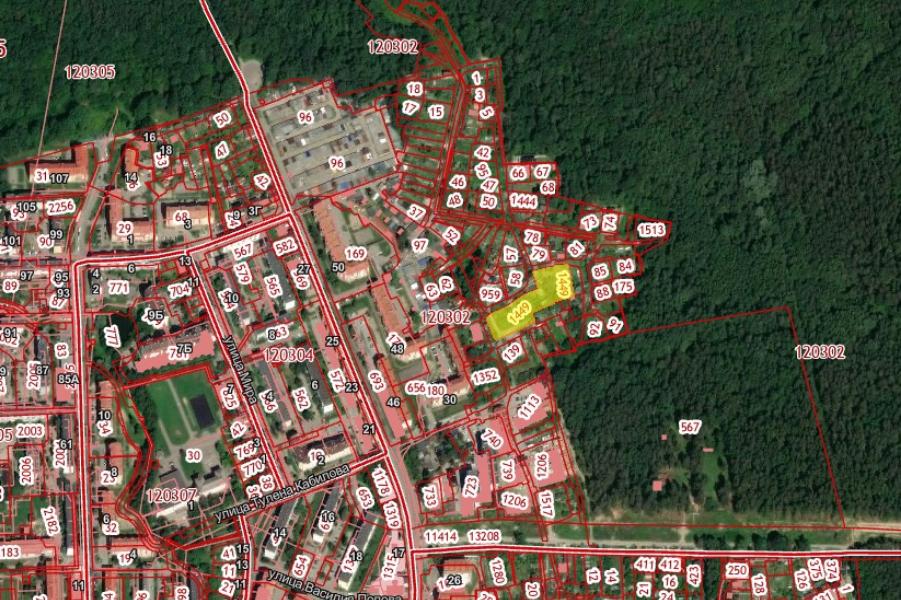 Суд: областные власти незаконно отказали в застройке территории СНТ в Чкаловске