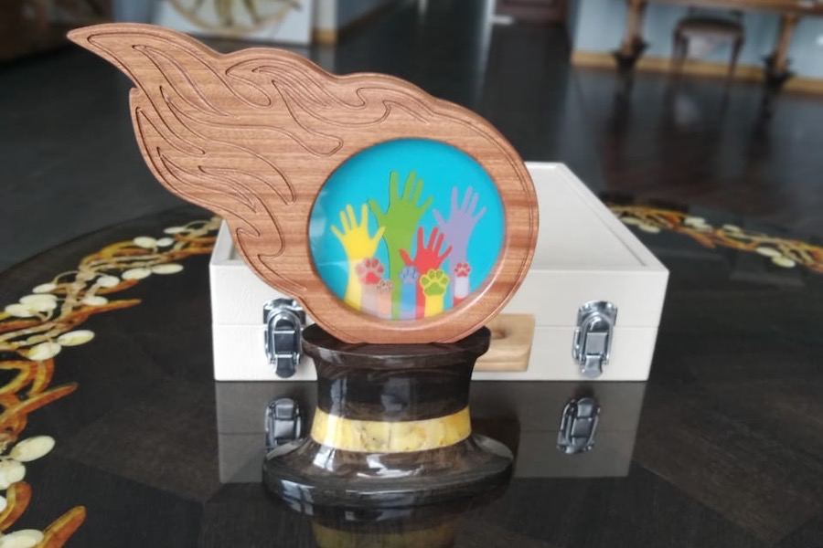 Собаки, енот, голубь, зеленоградский кот Сергей: кто претендует на «Лохматый оскар»