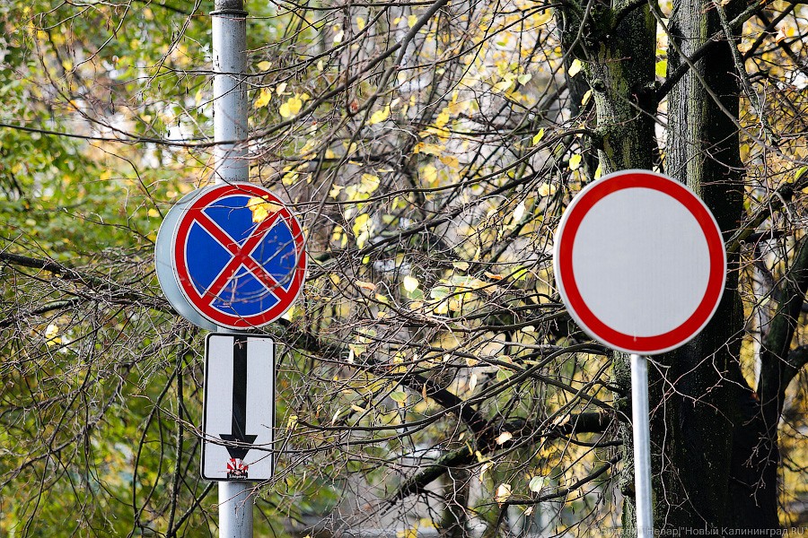 Автомобилистов предупреждают о новых знаках на ул. Нансена в Калининграде