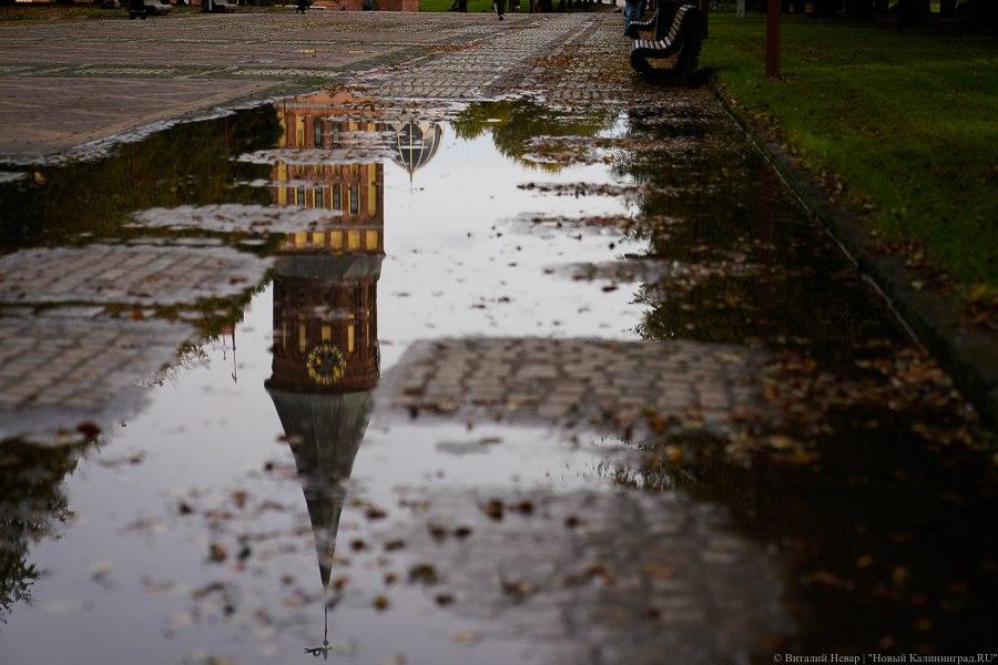 В Калининградской области отменили штормовое предупреждение ﻿﻿
