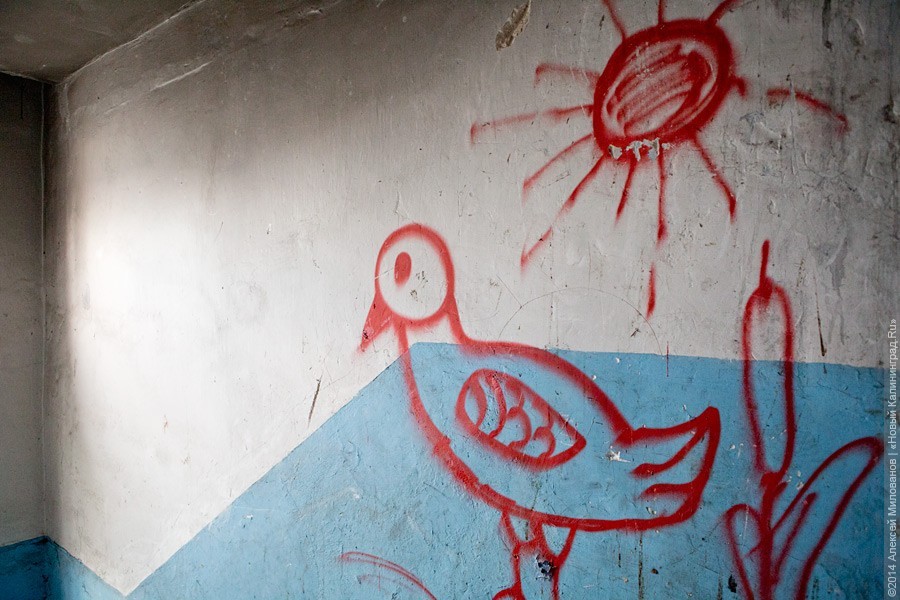 Госдума запретила выселять из общежитий семьи с детьми-инвалидами