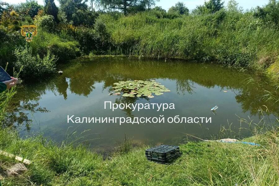 Прокуратура: утонувшая в Полесском районе шестилетняя девочка находилась без присмотра (фото)