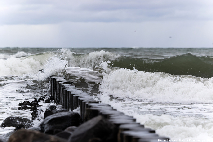 Погода в Калининграде 31 января