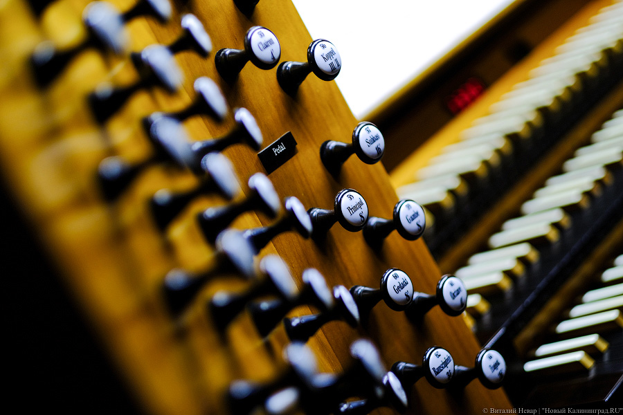 В Кафедральном соборе сыграют саундтрек к «Игре престолов» на органе