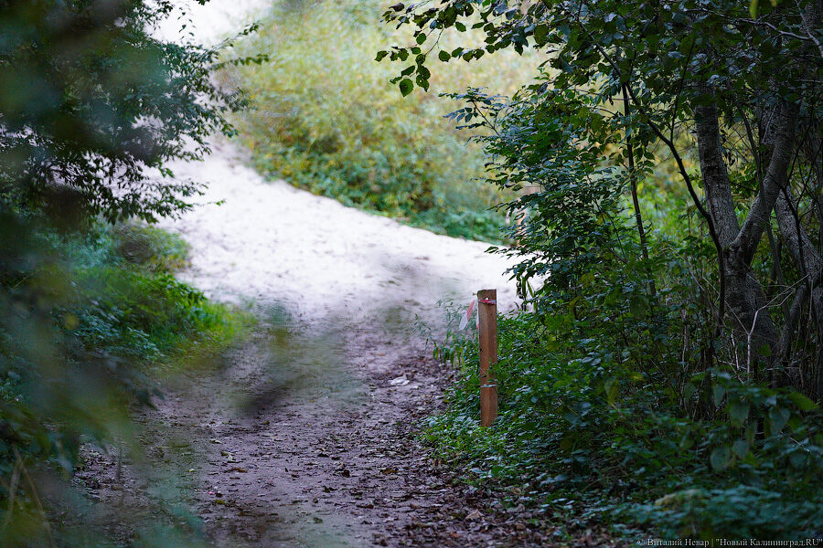 «Совокупность факторов»: что сказано в решении Верховного суда по делу о землях в Малиновке