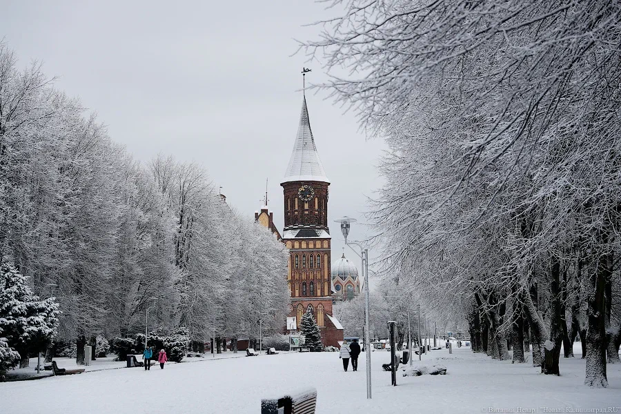 Калининград вошёл в список популярных направлений у туристов старше 55 лет