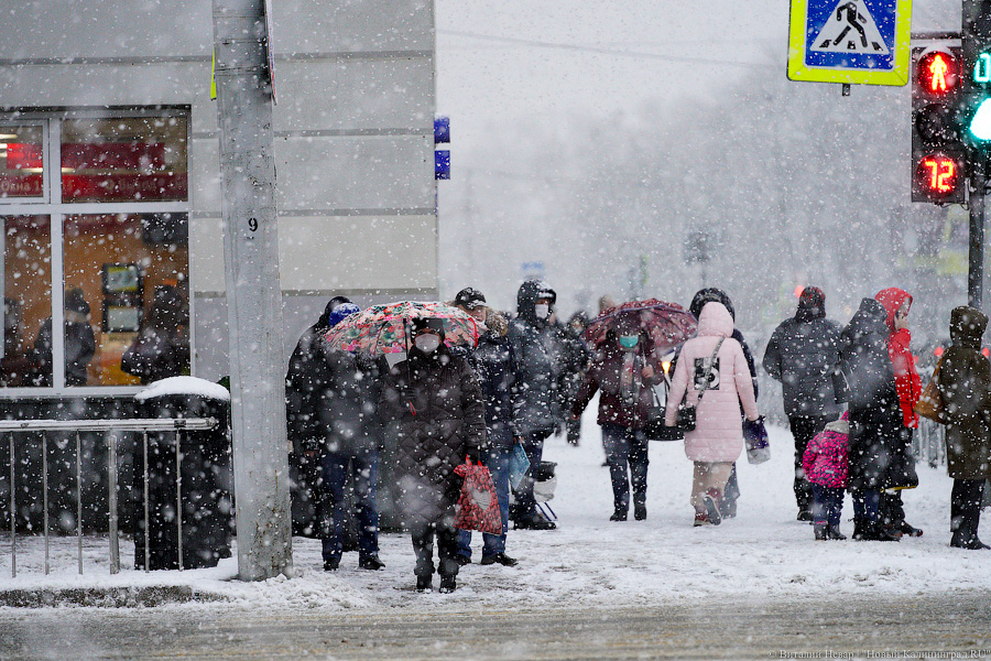 Frosty winter weather. Зима пришла в Калининград. Первый снегопад. Калининград зима. Снегопад в городе фото.