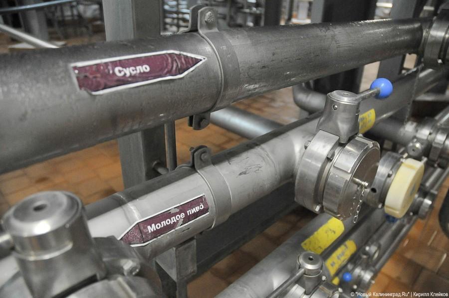 Комплекс бывшей пивоварни «Остмарк» в Калининграде выставлен на торги