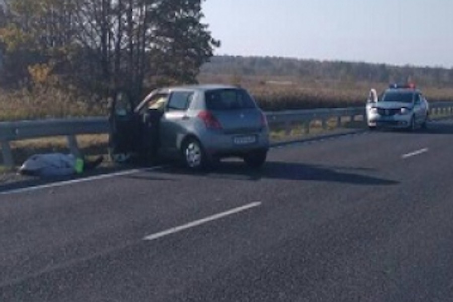 Под Черняховском «Сузуки» врезался в отбойник, водитель погиб (фото)
