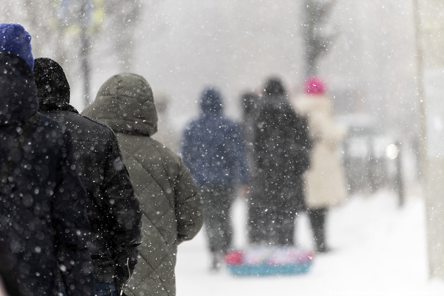 Снегопад и ледяной дождь: погода в Калининградской области 14 января 