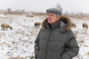 Фермер Сергей Семенов: «Тринадцать минут — и с барана китель снят»