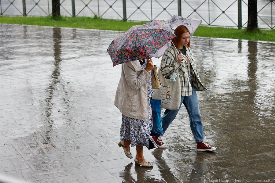 Синоптики обещают Калининградской области в выходные тепло и дождь