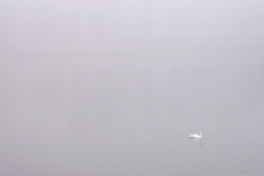 Жителей Балтийска предупредили о снижении видимости из-за дымовой маскировки военных