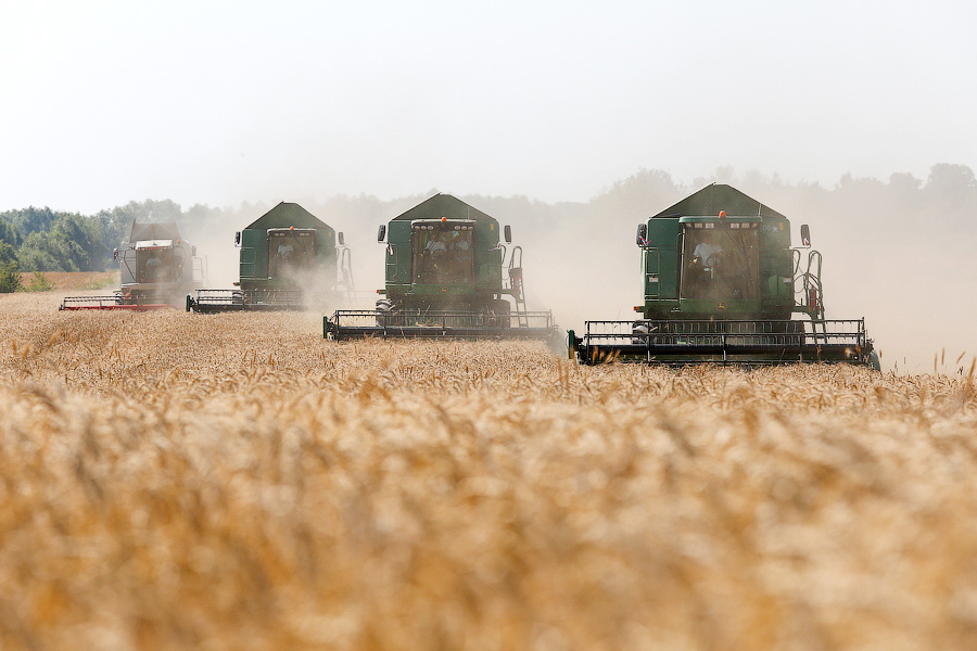 С начала года в Мексику экспортировали почти 60 тыс. тонн калининградской пшеницы