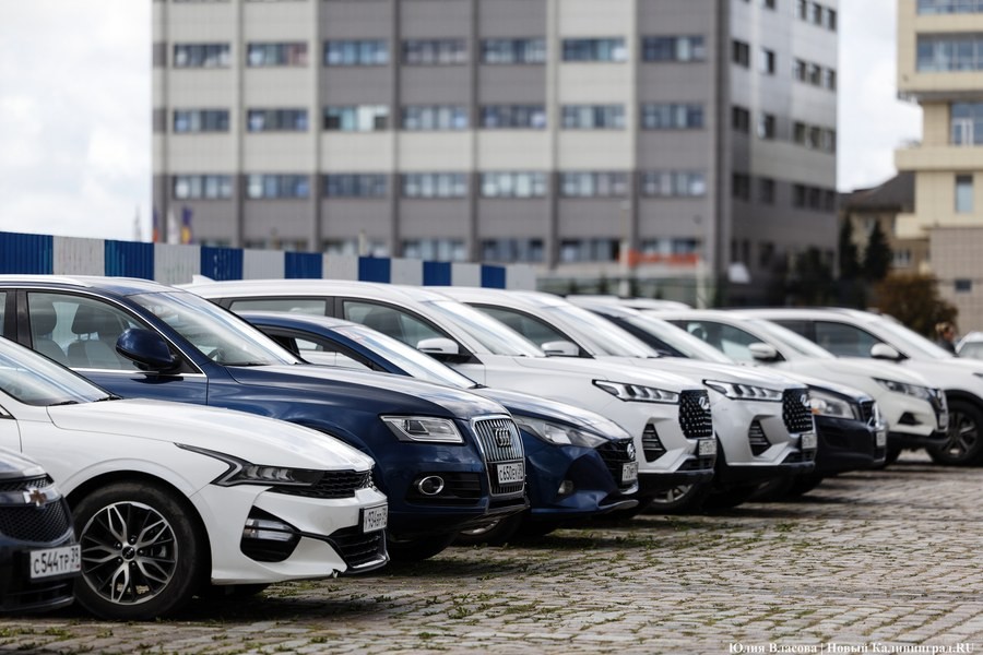 В Калининградской области зафиксировали скачок роста автомобилизации