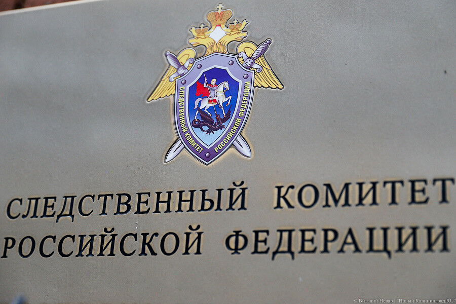 Под Гвардейском мужчина погиб, опиливая ветки дерева