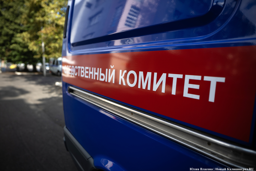 В Калининграде пресечена деятельность группы, обманным путем лишившей жилья детей-сирот