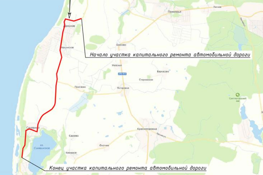 Для ремонта дороги Донское-Синявино-Янтарный разрешили вырубить 545 деревьев