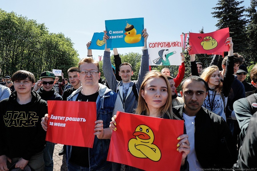 Штаб Навального в Калининграде сообщает о задержании своего руководства 