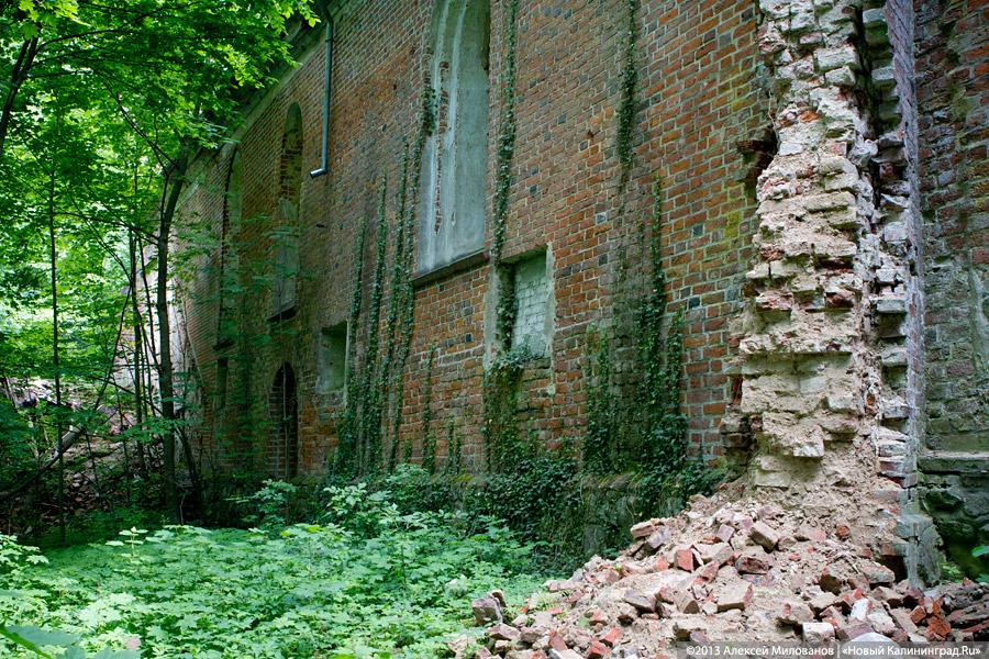 Домново калининградская область фото