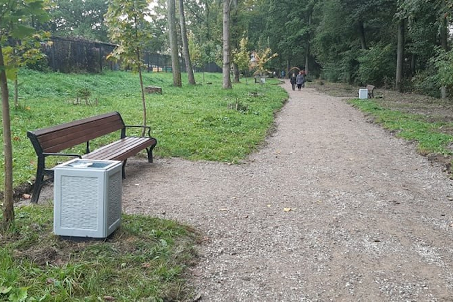 Власти ищут проектировщиков для модернизации освещения вдоль «Тропы здоровья» (фото)