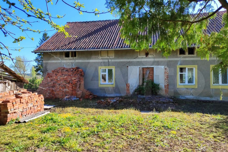 Озёра с карасями, грибной лес и тишина: топ-5 хуторов в Калининградской области