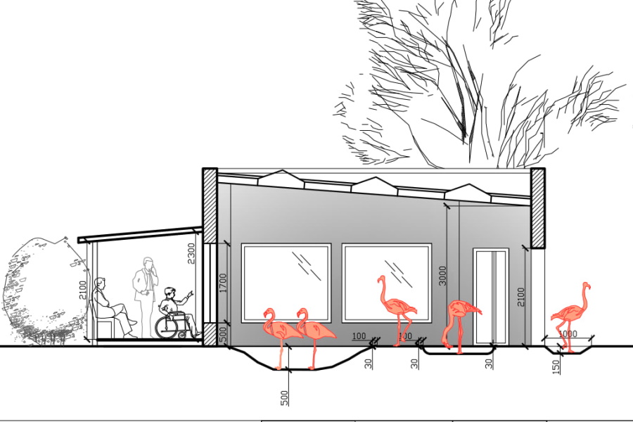 Калининградский зоопарк заказал строительство зимнего павильона для фламинго (фото)