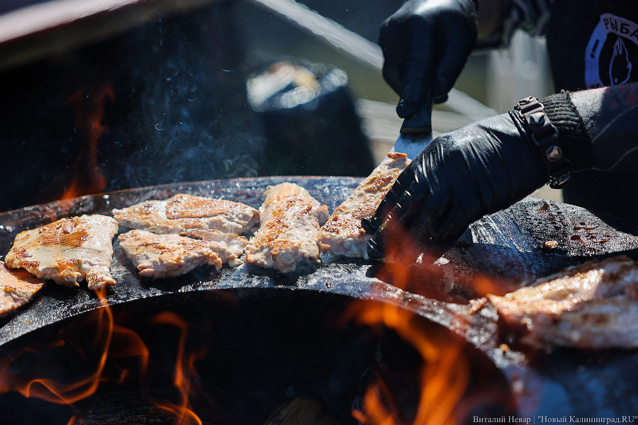 В Балтийске отметят День салаки