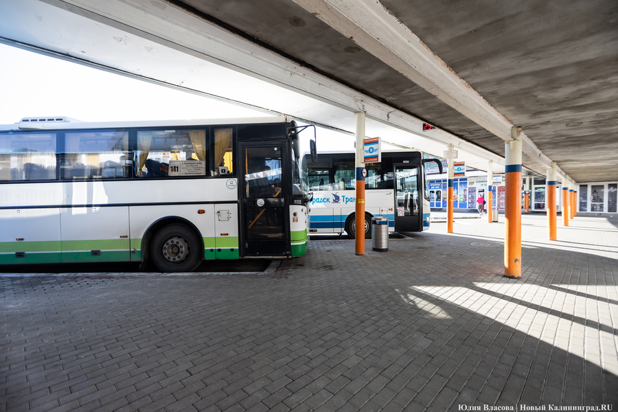 В Калининградской области общее количество пассажиров превысило 5 миллионов