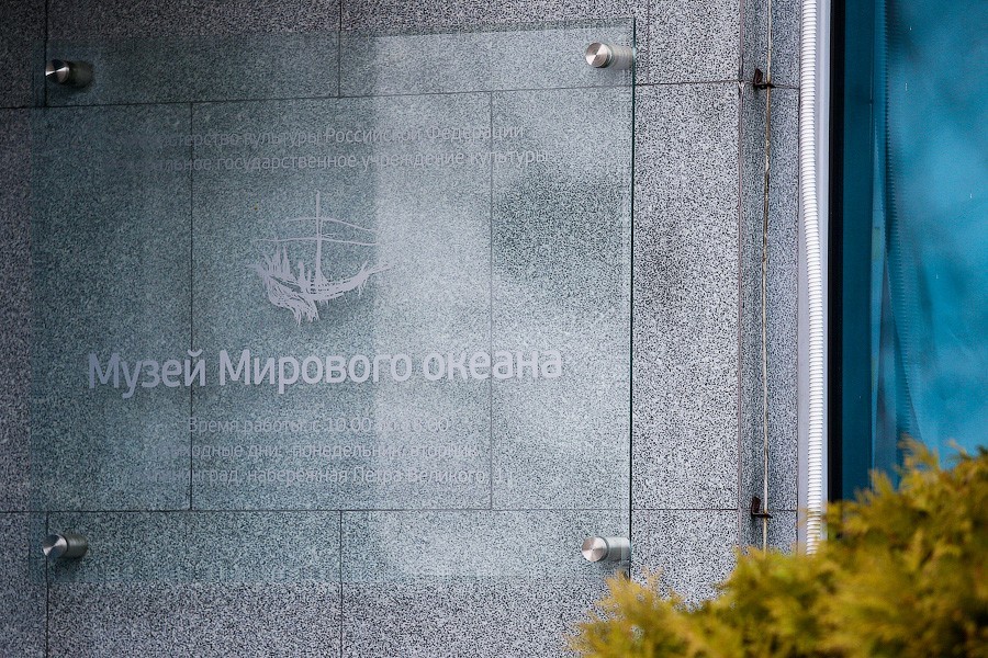 Музей Мирового океана впервые покажет сердца моржа и белухи