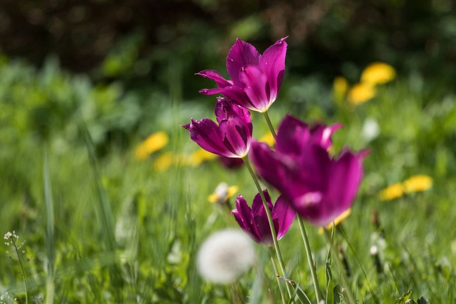Метеорологи ожидают теплые, но ветреные выходные в Калининграде