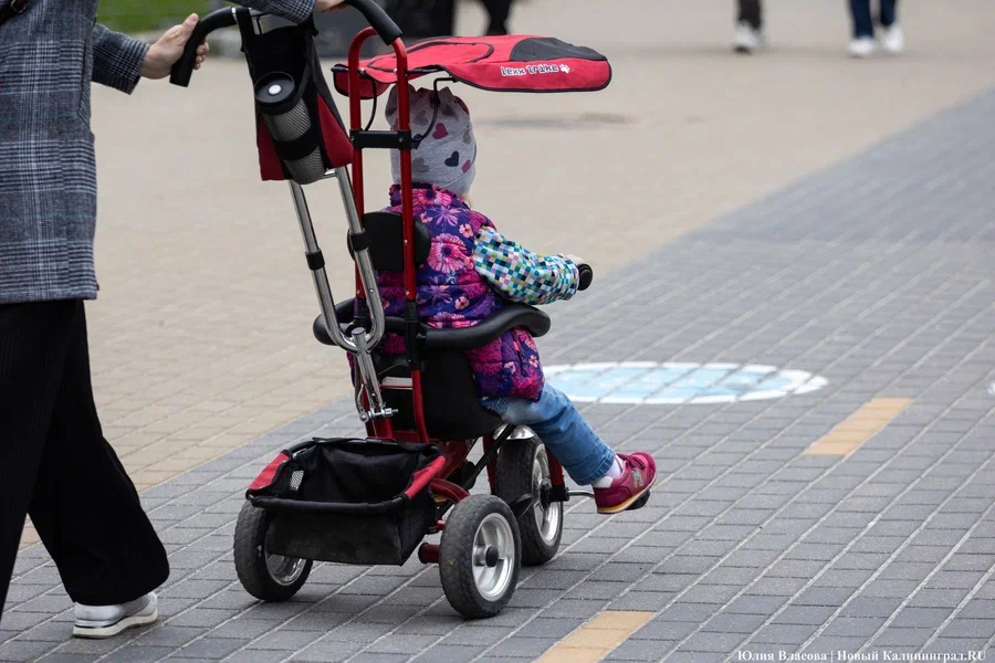 В Калининградской области на 26,8% снизилось число абортов до 12 недель