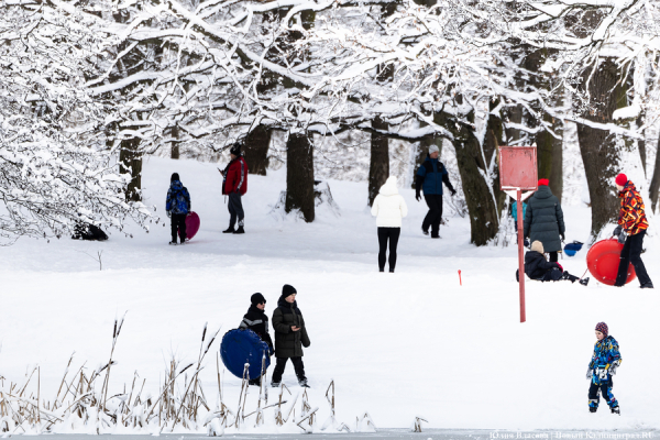 После двадцати лет ожидания: как Калининград встретил Новый год со снегом (фото)
