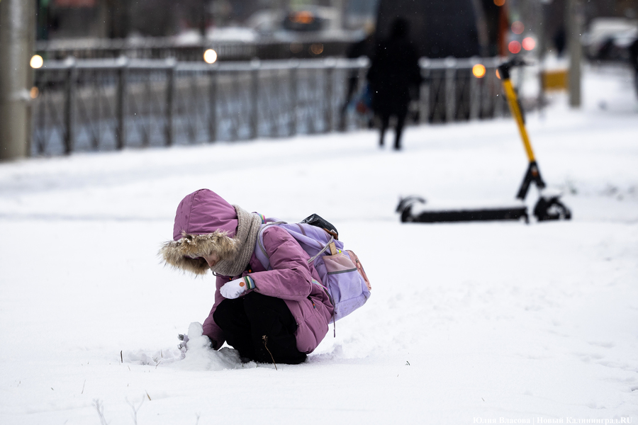 В Госдуме предложили ввести минимальный размер алиментов на детей