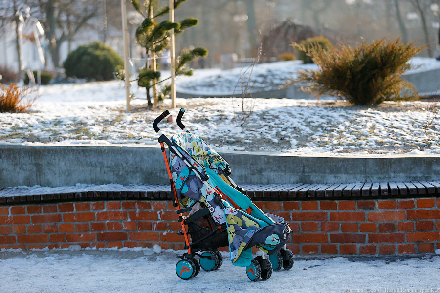 Депутаты предложили запретить пропаганду «чайлдфри»