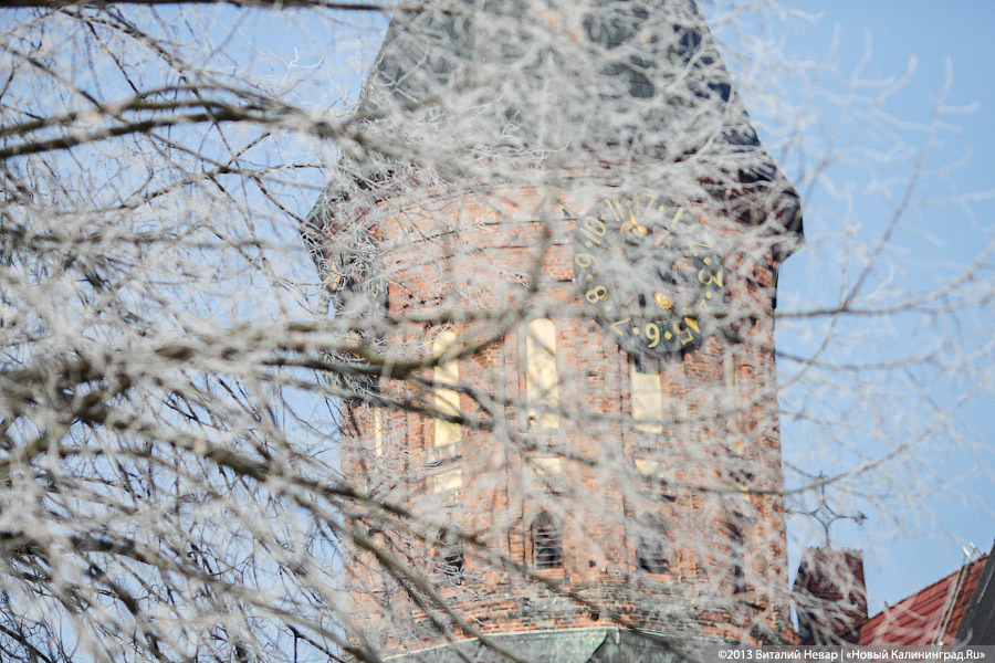 В Кафедральном соборе проведут серию бесплатных новогодних спектаклей