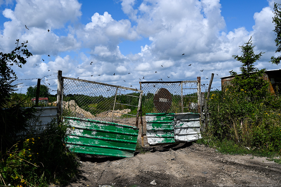 Суд обязал бизнесмена обнести забором скотомогильник в Багратионовском округе