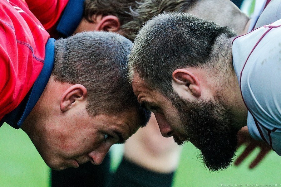 Сборная России по регби сыграет против Португалии в Калининграде