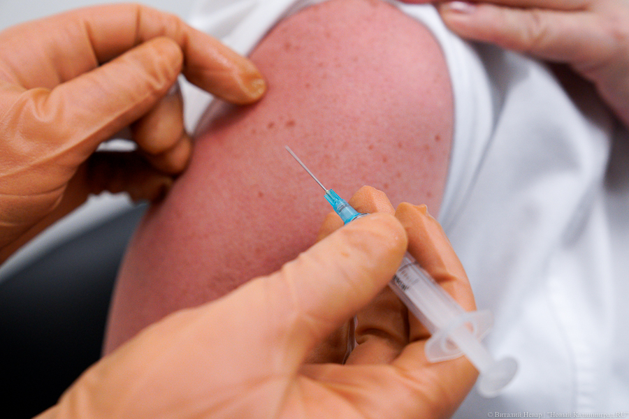Калининград попал в число регионов РФ с хорошо организованной вакцинацией