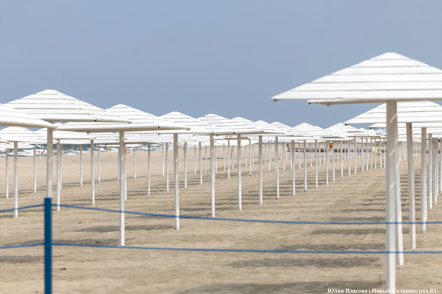 Лосось преткновения: почему жители Янтарного выступили против инвестпроекта