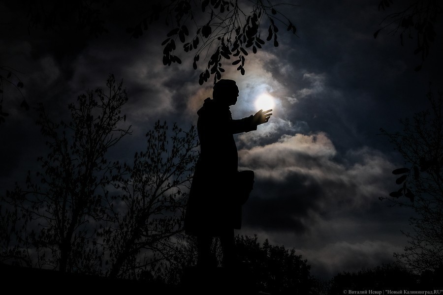 Чемпионат мира по Канту: Калининград стал хозяином юбилейного конгресса-2024 