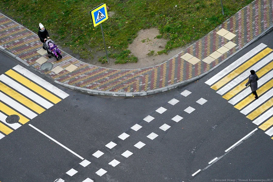 Власти Калининграда планируют обновить разметку на 467 улицах в 2026 году